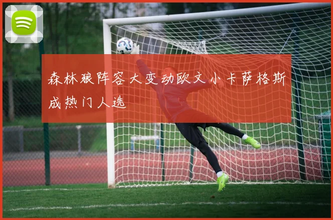 森林狼阵容大变动欧文小卡萨格斯成热门人选