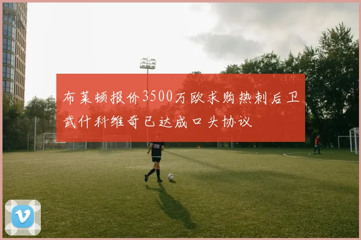 布莱顿报价3500万欧求购热刺后卫武什科维奇已达成口头协议